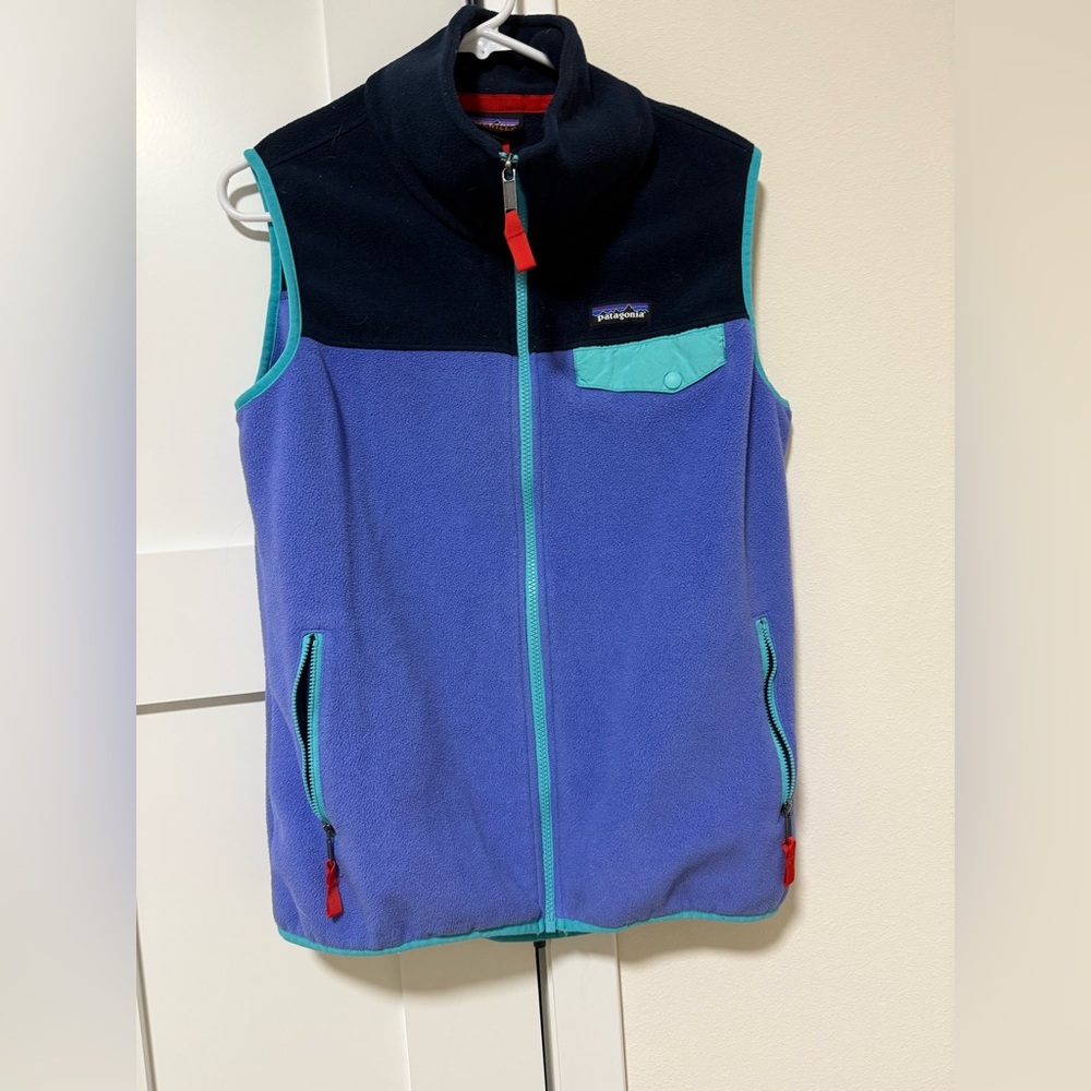 Patagonia Synchilla Retro Vest